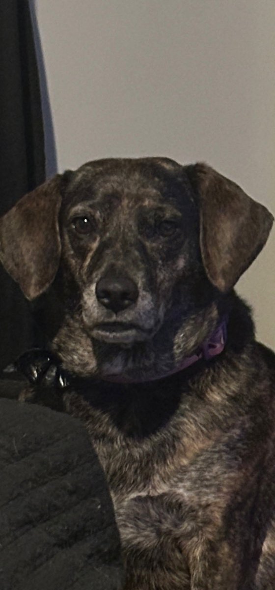 xbcakes's tweet image. why does she look like that man