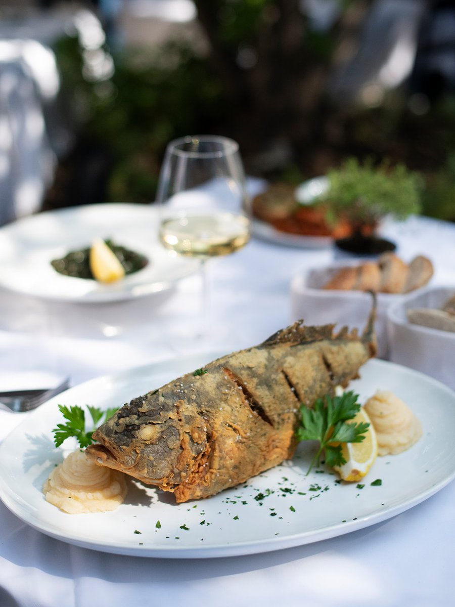 En Nostos, tu eliges tu pescado y su forma de preparación. Si tienes dudas, nos encantará platicar contigo sobre las especies que tenemos disponibles, sus porciones de acuerdo al peso, su tiempo de preparación e incluso de con qué bebida maridarlo.

🍽️: Pesca del día al sartén.