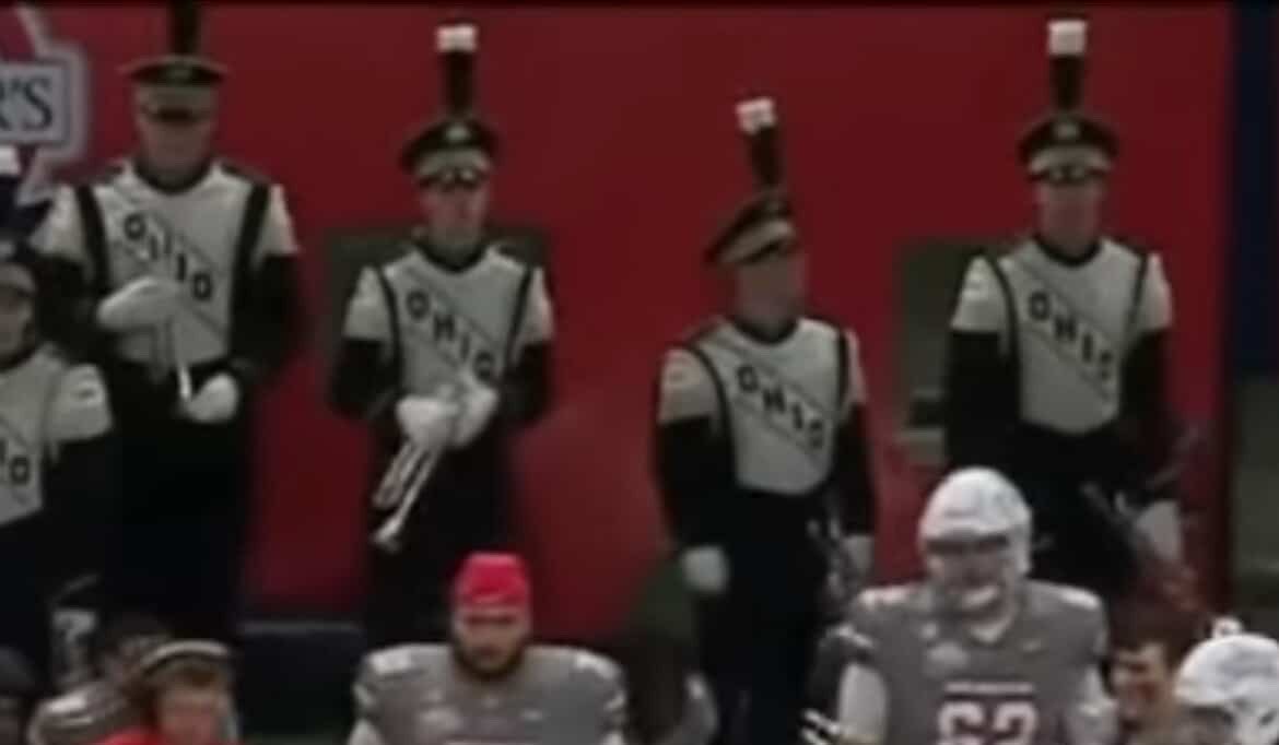 Eastern Brown Bands tweet media