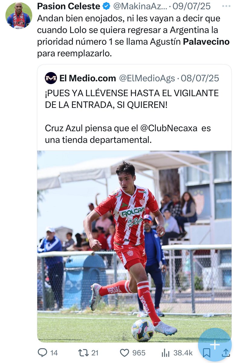 Pasion Celeste tweet media