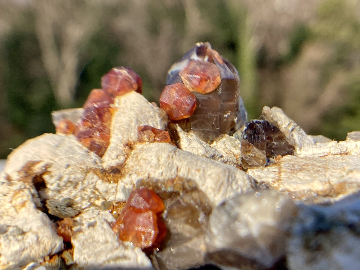 中国福建省のスペサルタイト・ガーネット。この産地のガーネットは