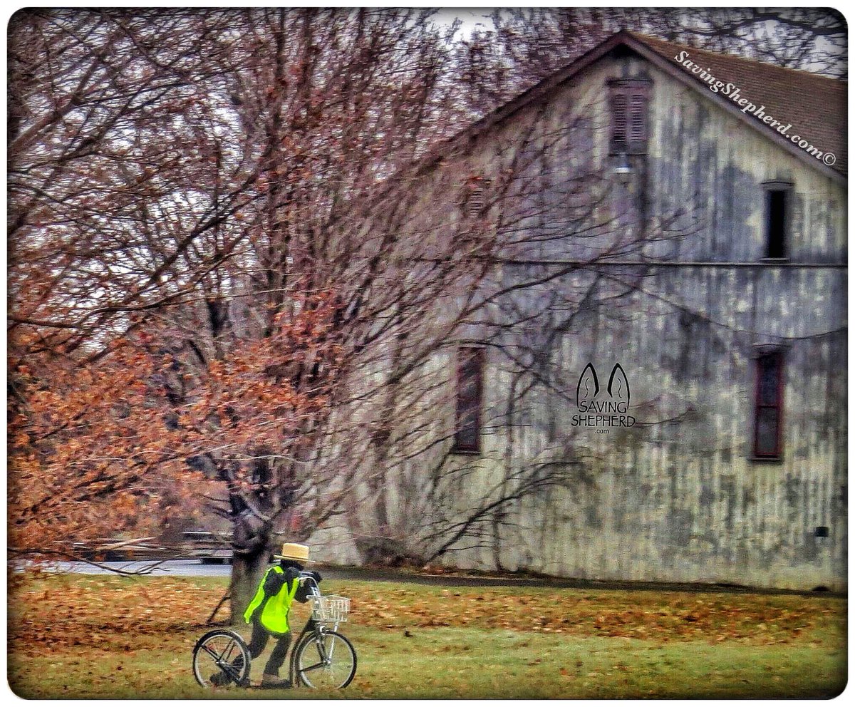 SavingShepherd's tweet image. Today's Truth ...

“With patience, everything works out.”

~ Amish Proverb
❤️

#patience #inspiration #quoteoftheday #SavingShepherd #Amish #proverb #photooftheday 🤗