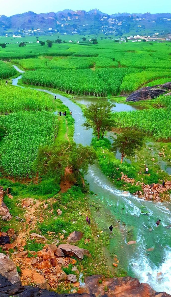 وازرع ورودك في أرض تمر بها
فربما طيبها يبقى مدى الأزل 
       وربما لطفها يأتيك في عبق
إن زرتها برهةً يوماً على عجل
        فازرعْ من الخير تحصد منه أجمله
فالخير يُزهر بالمعروف إن تَسَل
        وَربَ أمرٍ مضى ما كنت تحسبه
تأتيك أسراره في أجمل الحُللِ🌷#مساء_الخير_والسعاده_للجميع