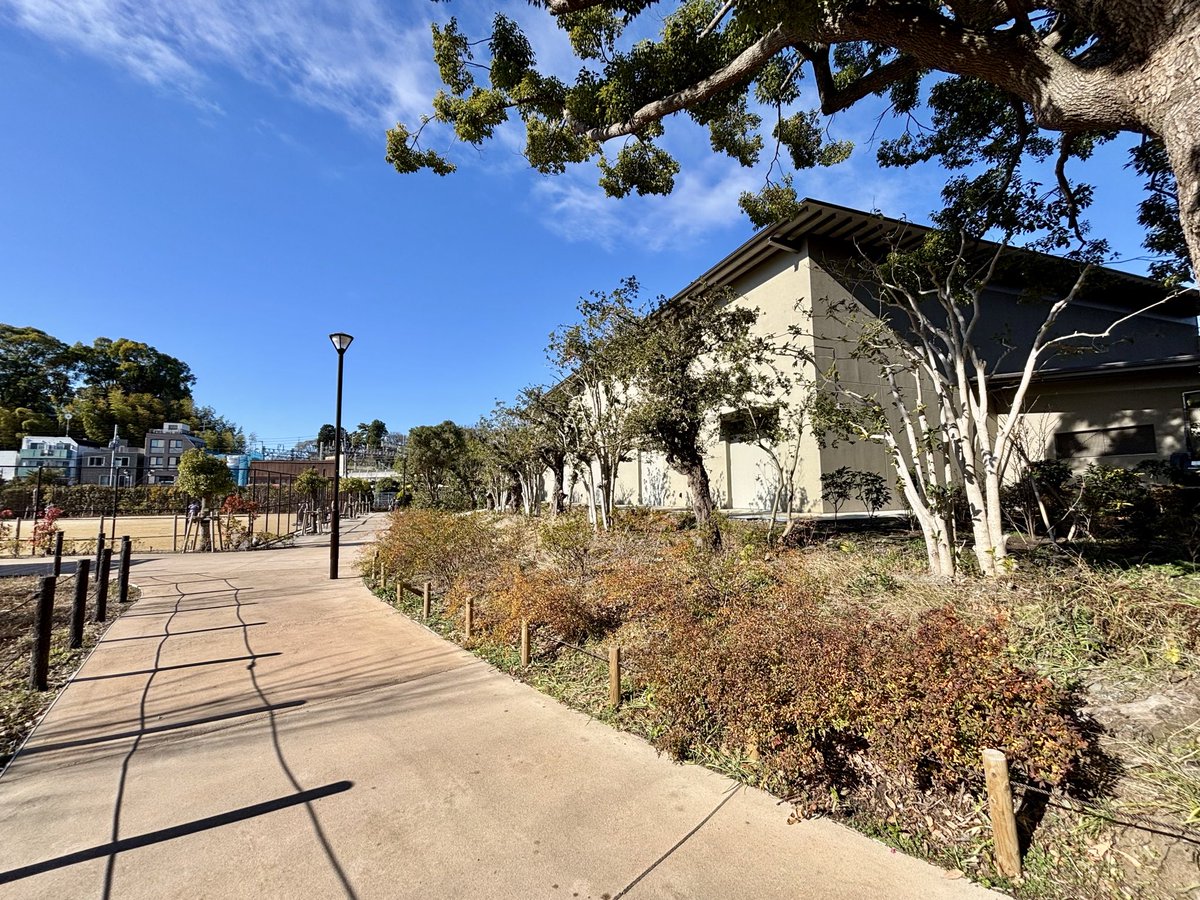 新年初ウエイトトレーニング フィットネスバイクはHiit的に緩急付けてみた