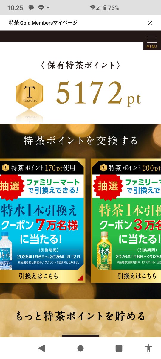 【明日まで】クーポン可 実質12500円 即決優先 即決優先 【明日まで】クーポン可 実質12500円