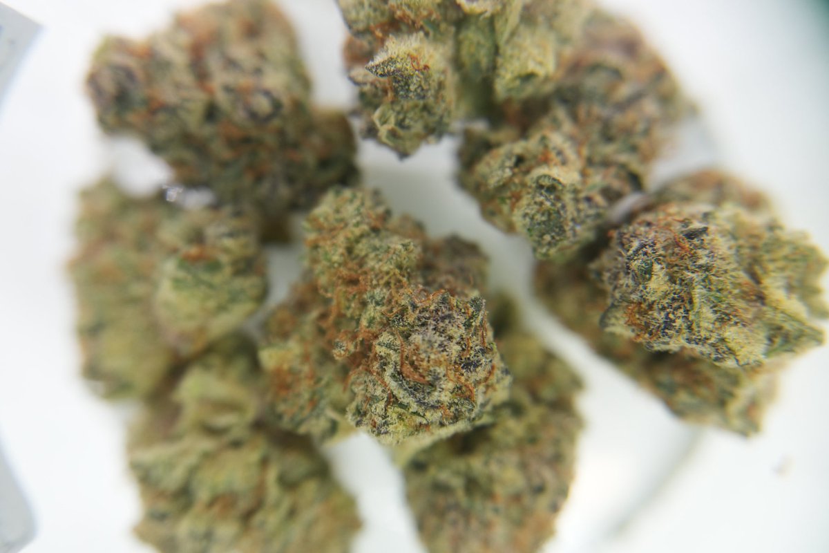 TGSAbilene's tweet photo. @modernherbco @HempCollect Got some Fire Flower from Modern Herb Co. These certain pics are from the Super Buff Cherry cultivar that is wonderful!!!
.
.
.
.
.
#420friendly #Cannabis #THCA #Fire #Abilene #BigCountry #Texas #AbileneTX https://t.co/kiLW6Jo0Tu
