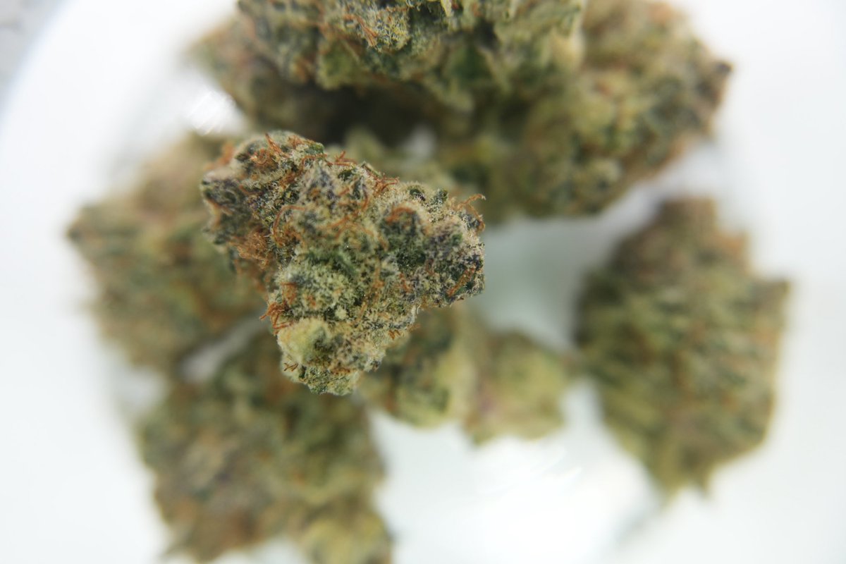 TGSAbilene's tweet photo. @modernherbco @HempCollect Got some Fire Flower from Modern Herb Co. These certain pics are from the Super Buff Cherry cultivar that is wonderful!!!
.
.
.
.
.
#420friendly #Cannabis #THCA #Fire #Abilene #BigCountry #Texas #AbileneTX https://t.co/kiLW6Jo0Tu