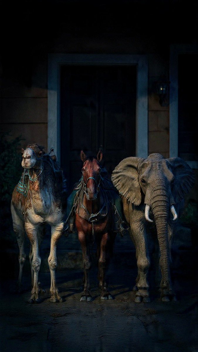 Estimado ⁦<a href="/PabloVazC/">Pablo Vázquez Camacho</a>⁩ un camello, un caballo y un elefante están bloqueando mi entrada, podrían mandar una unidad de la ⁦<a href="/UCS_GCDMX/">Unidad de Contacto del Secretario SSC CDMX</a>⁩ <a href="/SSC_CDMX/">SSC CDMX</a>⁩ para que les lleven agua y les hagan acompañamiento junto a sus dueños está #Noche de #ReyesMagos Gracias #Viral