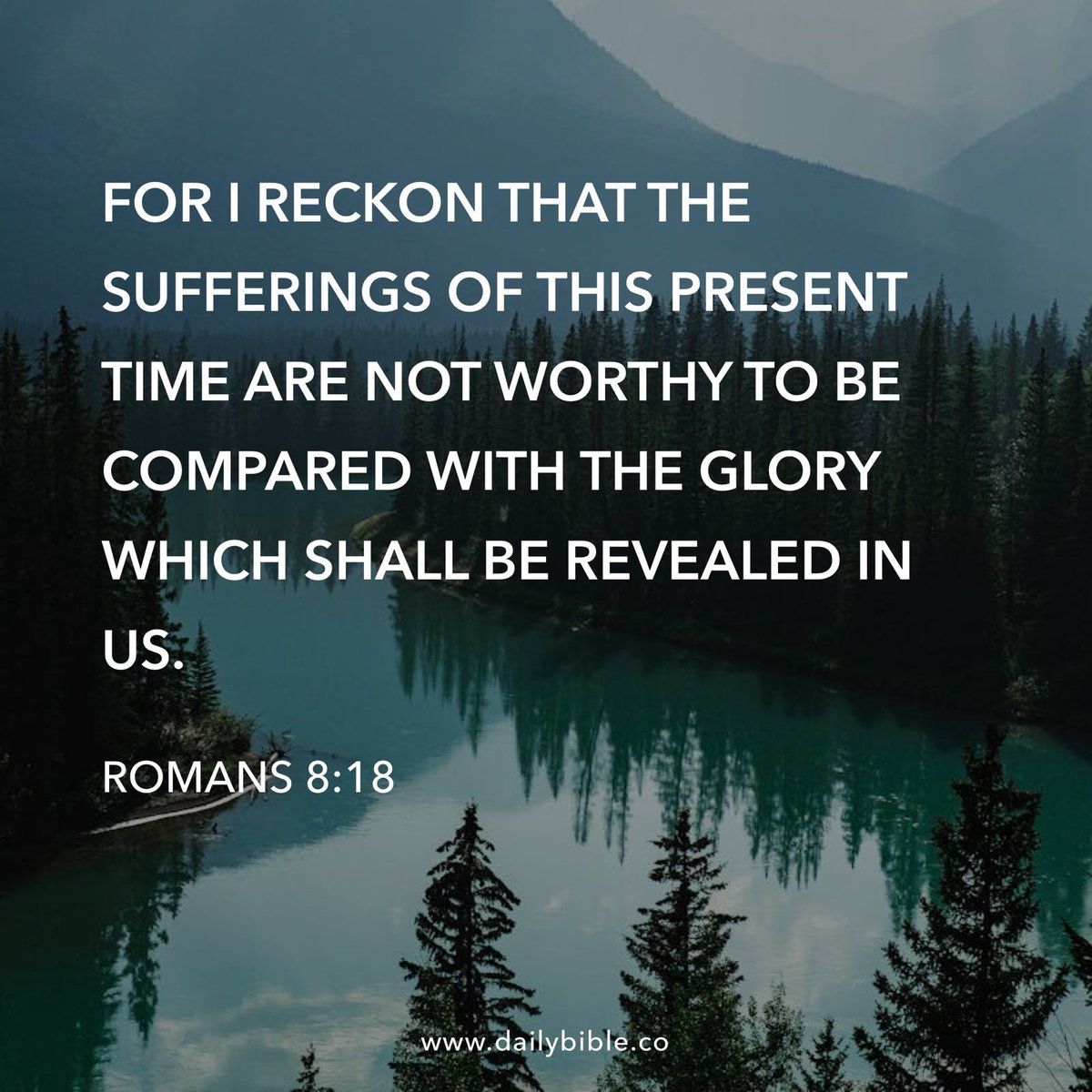 WVBalrog's tweet image. 