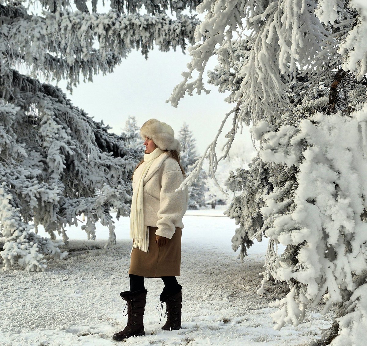 pk_marta89's tweet image. Every season brings its own beauty. It seems like everything sleeps in winter, but it's really a time of reflection where silence speaks the loudest.

#truthseeker #WinterWonderland #frostyweather #whitewinter