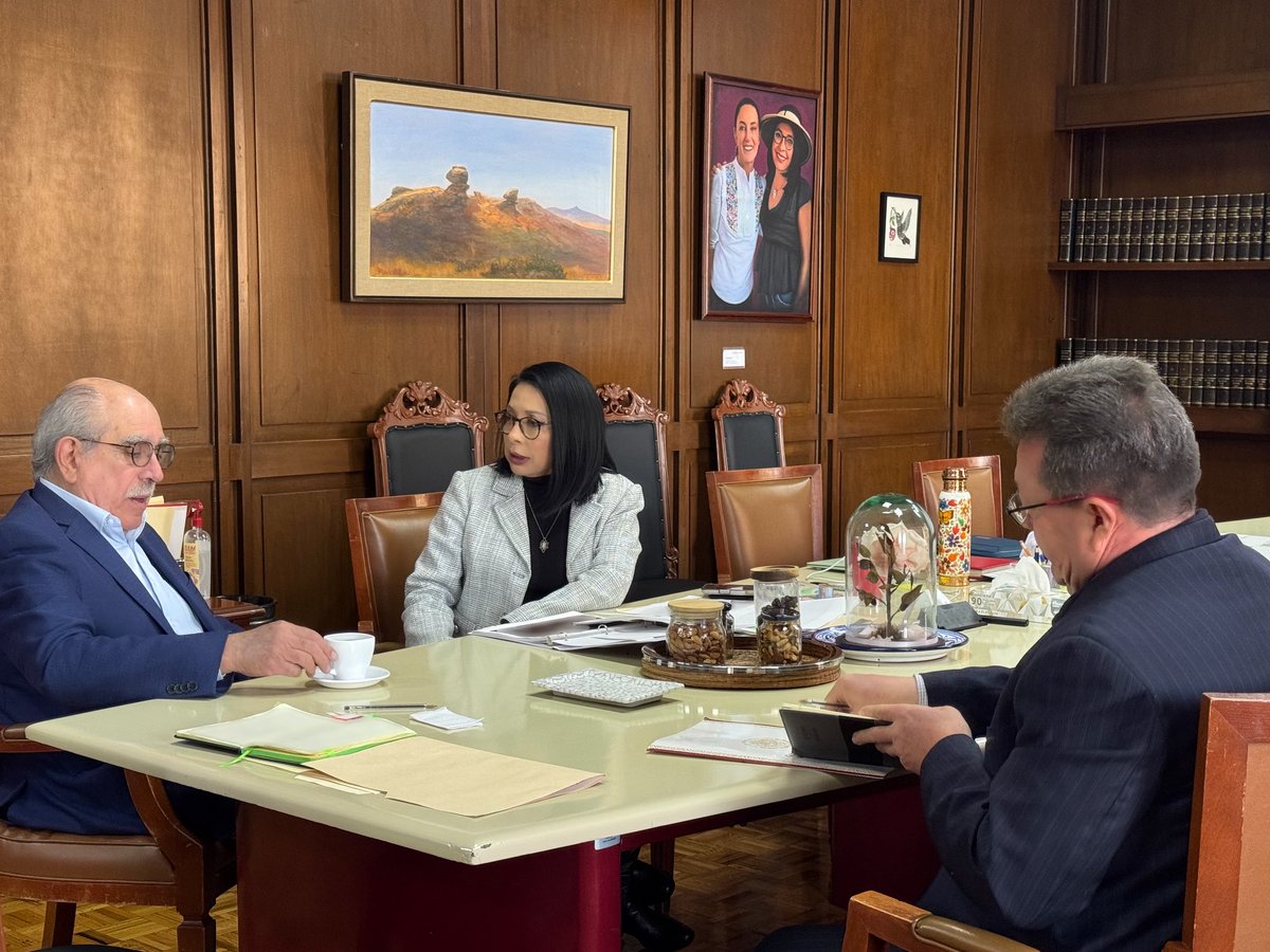 Reunión Presencial de BDMsH