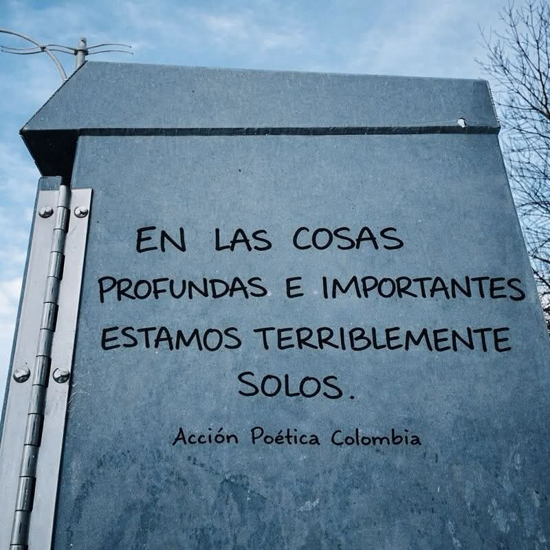 Anibal Litvin tweet media