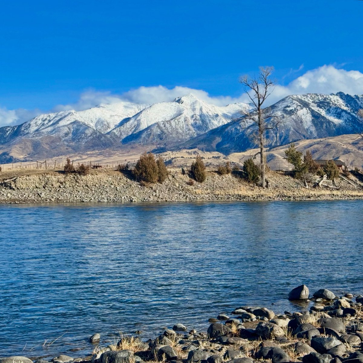 bisontattooguy's tweet image. Today’s view of the Yellowstone River and snow in the Absaroka Mountains of Montana.