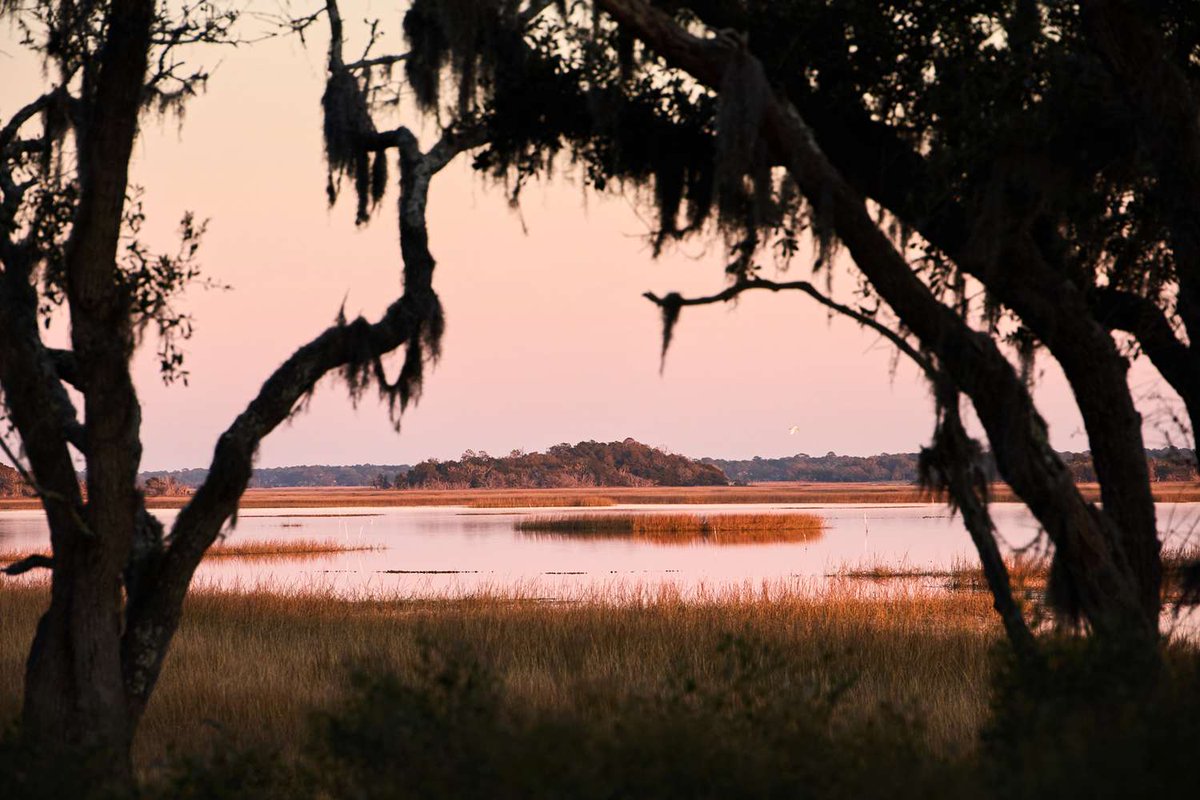 Waking up to a nice humid breeze in the Lowcountry would fix me..