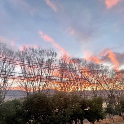 72 (@HbZGuwySWC4419) / Posts / X