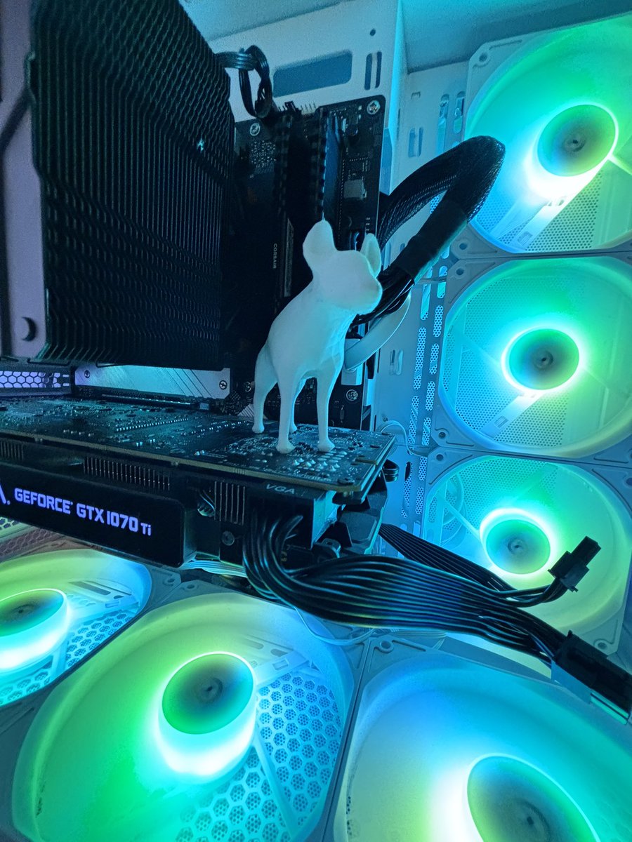 Yeen in the ‘puter :3
#furry #furryfandom #computer #pc