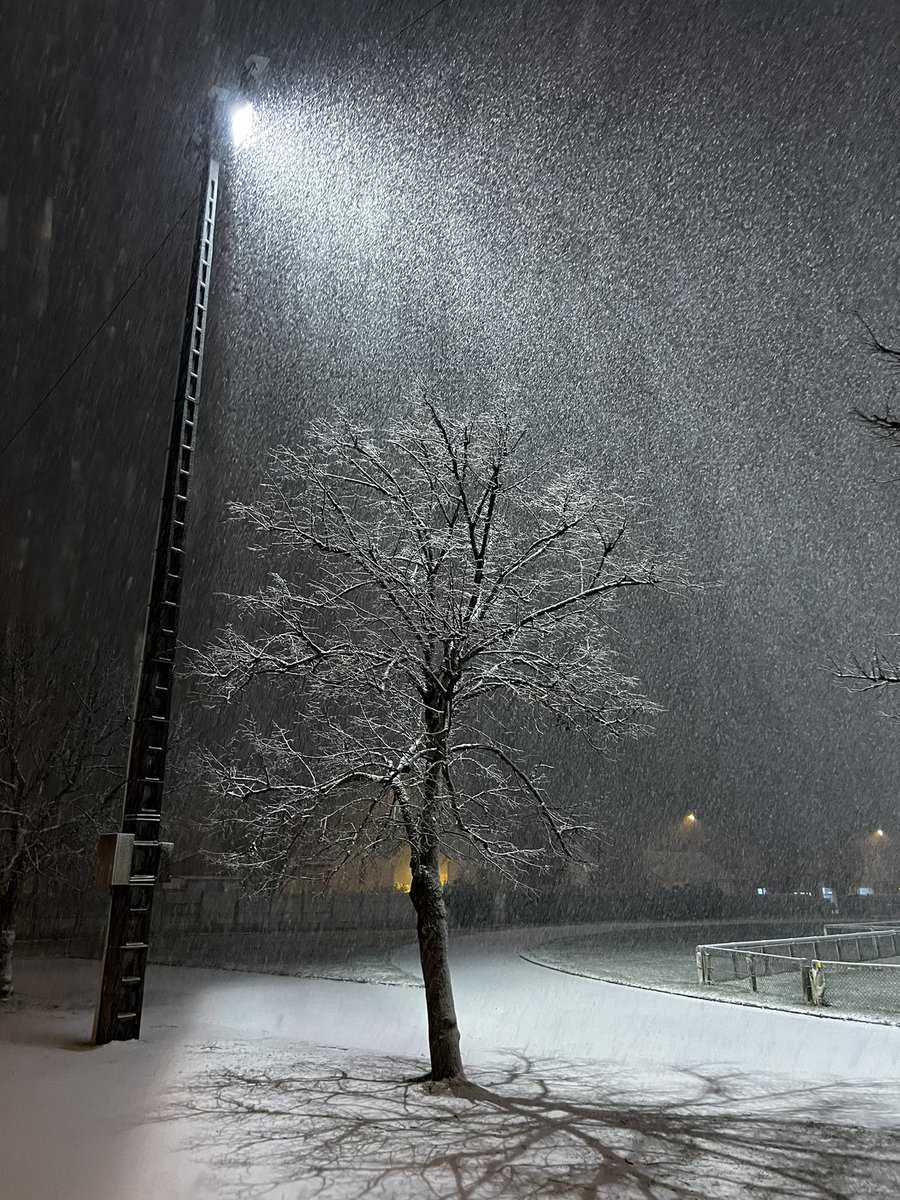 stikmoou's tweet image. 🌑❄️