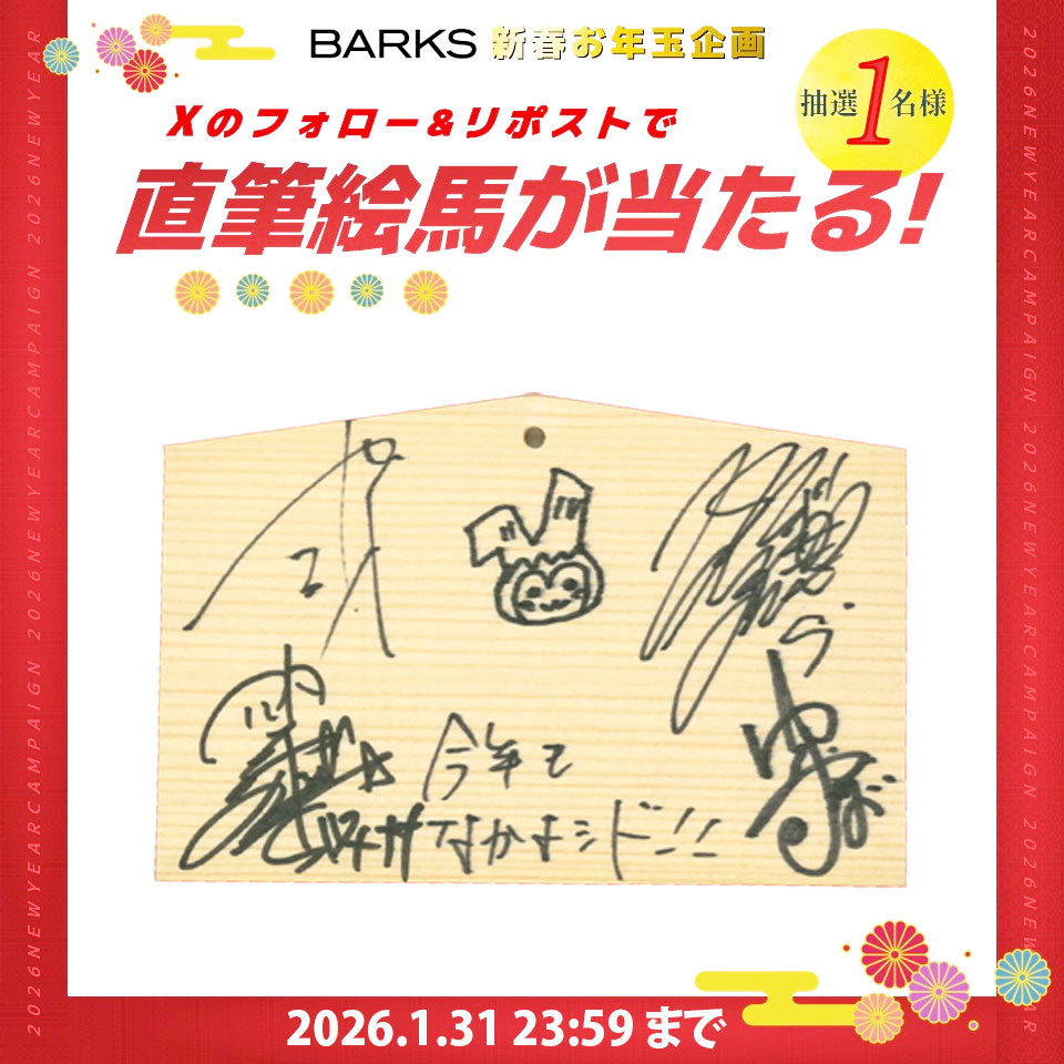 カラにゃん✯マオゆや°ʚ♡ɞ° (@karakaru1908) / Posts / X