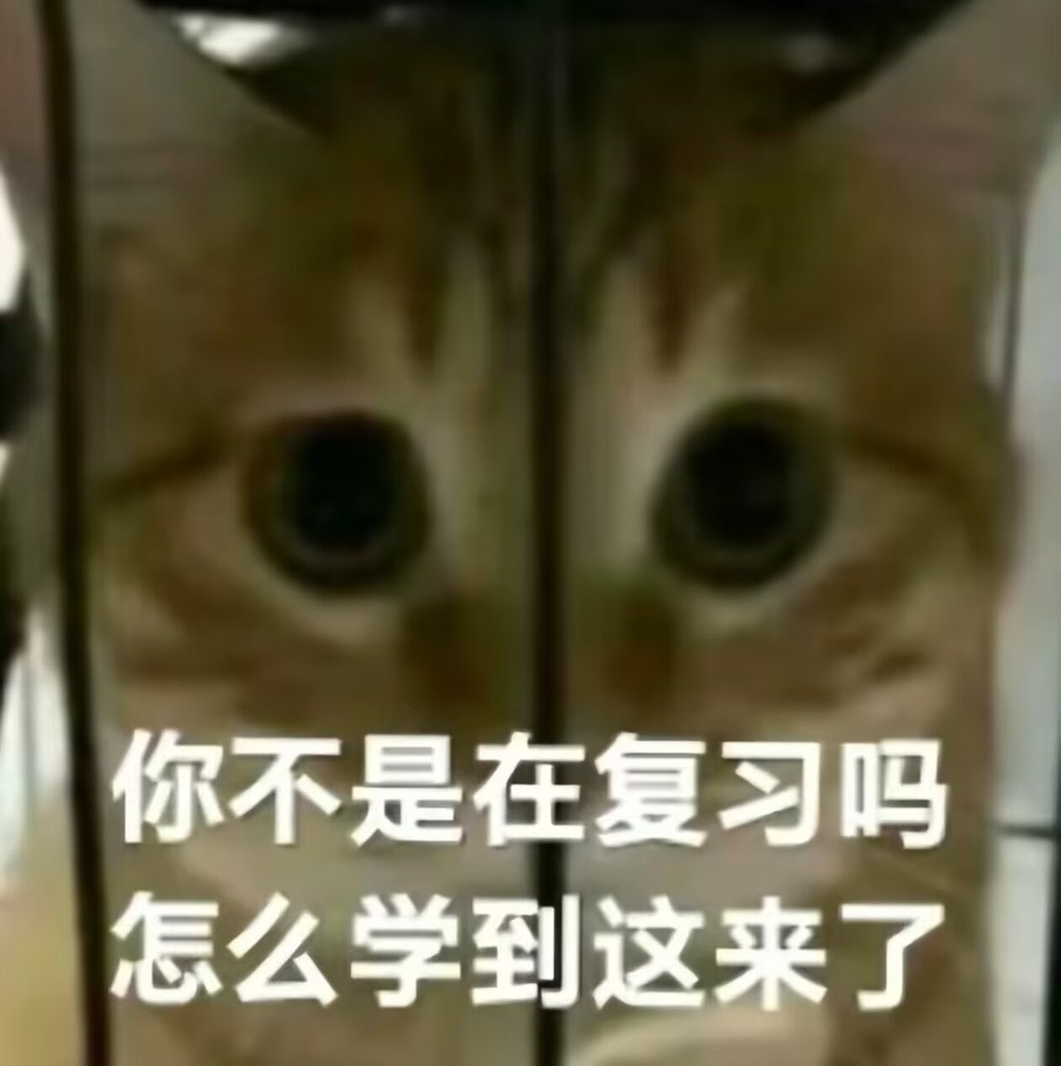 hgds0's tweet image. 