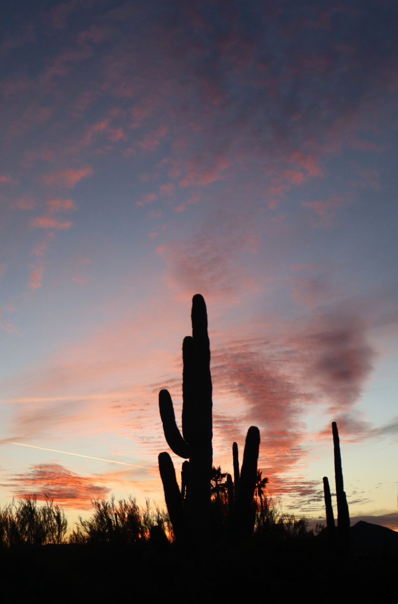 Arizona delivered again:  dramatic sunset over the Sonoran Desert foothills tonight.🌵