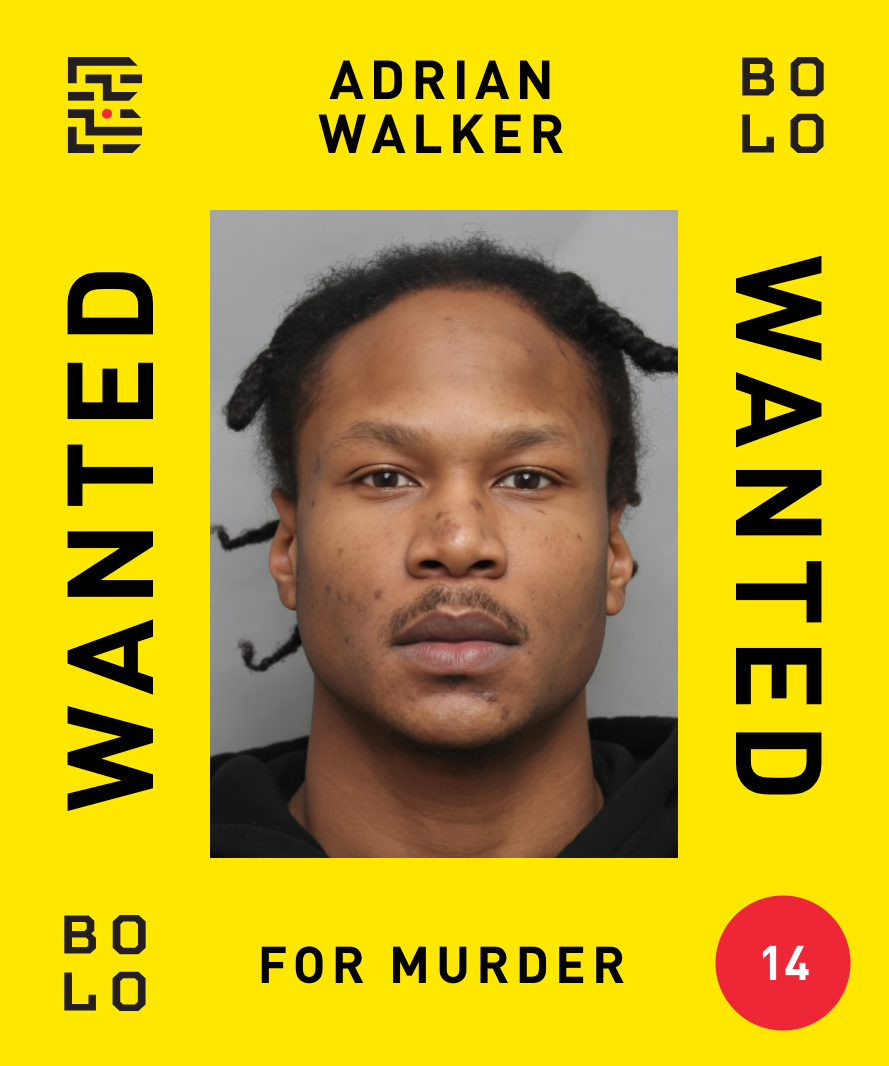 Bolo Program | Programme Bolo tweet media