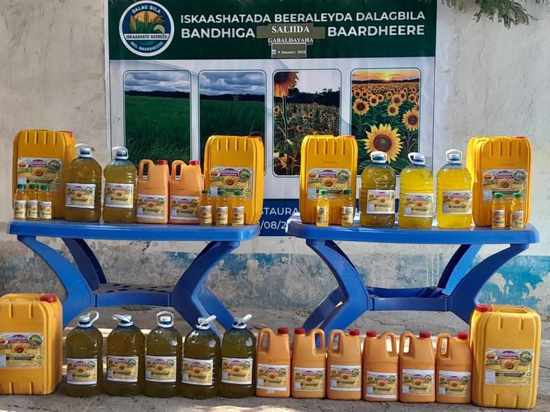 Baardheere—Bandhigga Waxsoosaarka Saliidda Gabbaldayaha 🌻