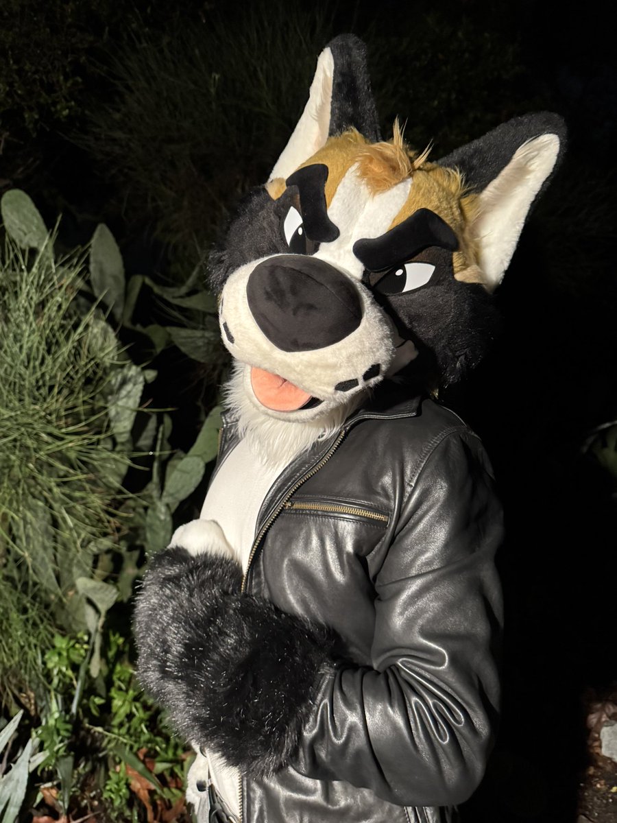 Peak (@PeakYote) / Posts / X