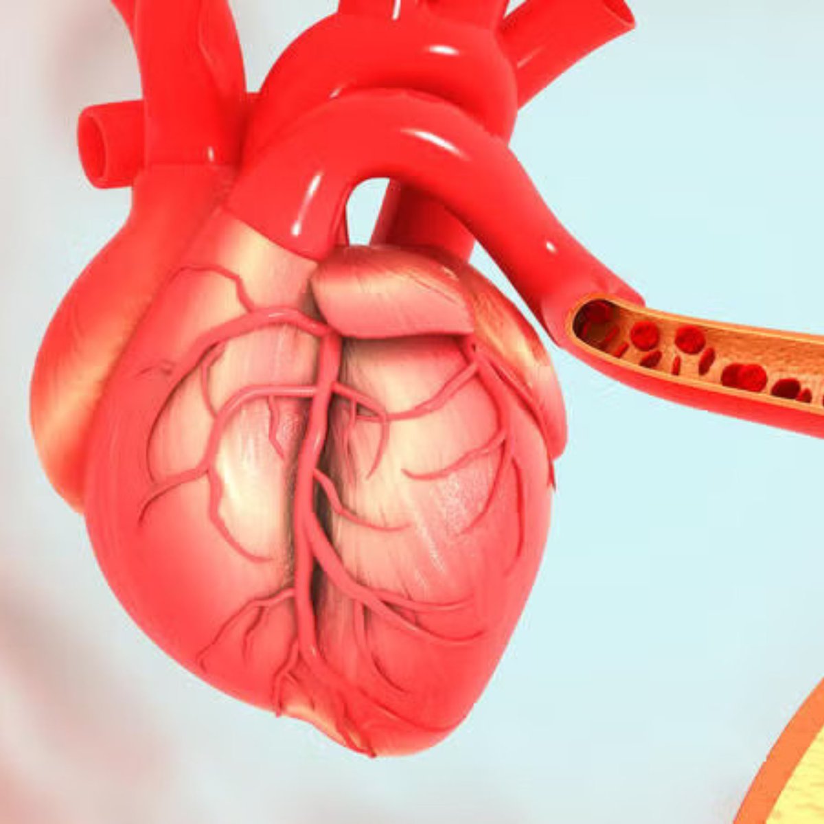 Meredith Turner tweet media