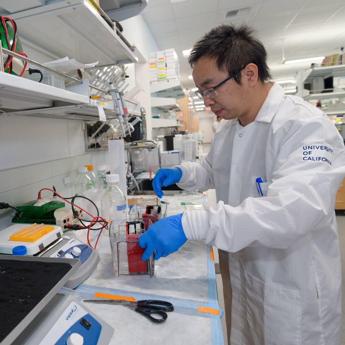 Meredith Turner tweet media