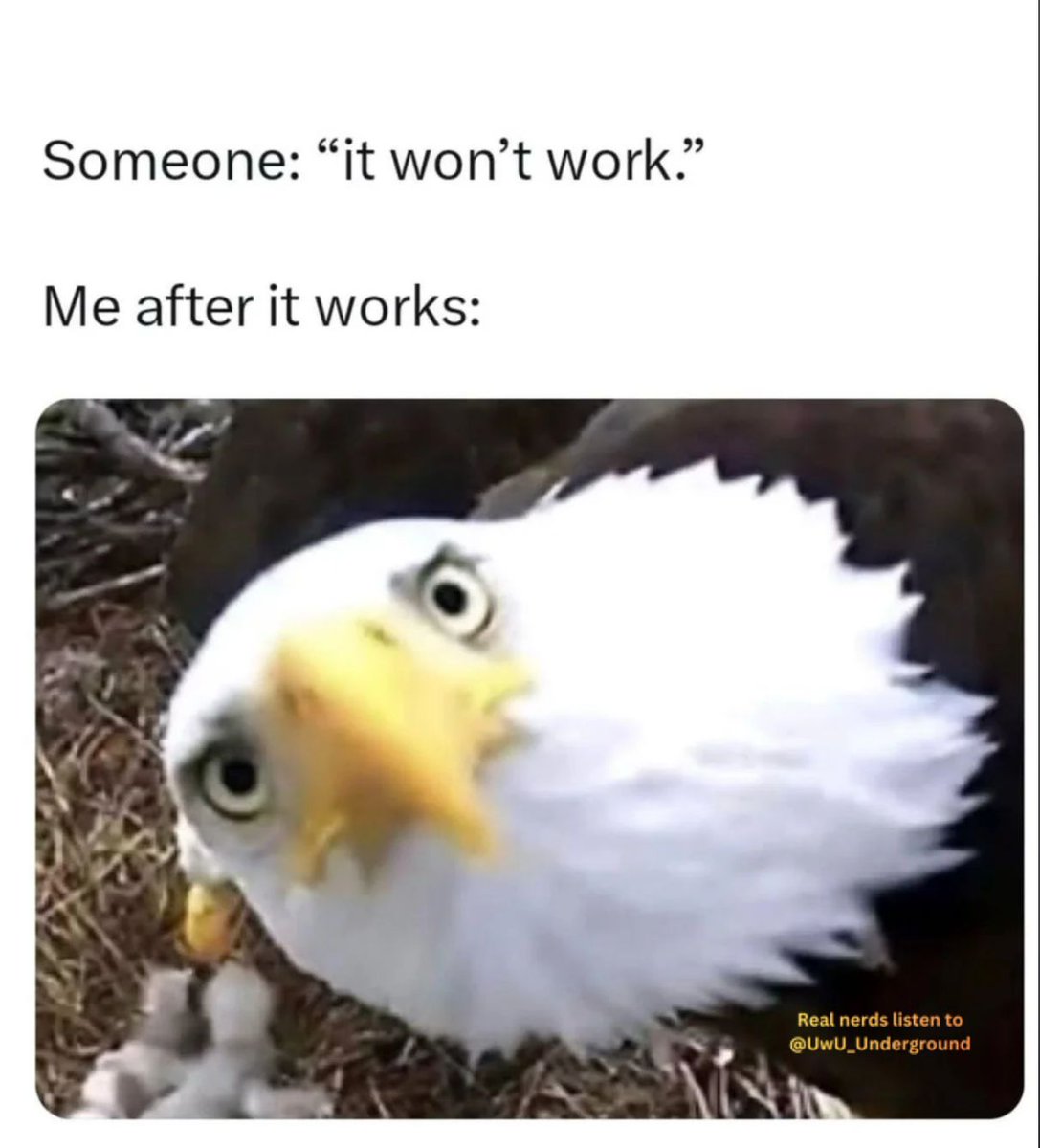 sudox.bsky - sudox.defcon.social (@kmcnam1) on Twitter photo 