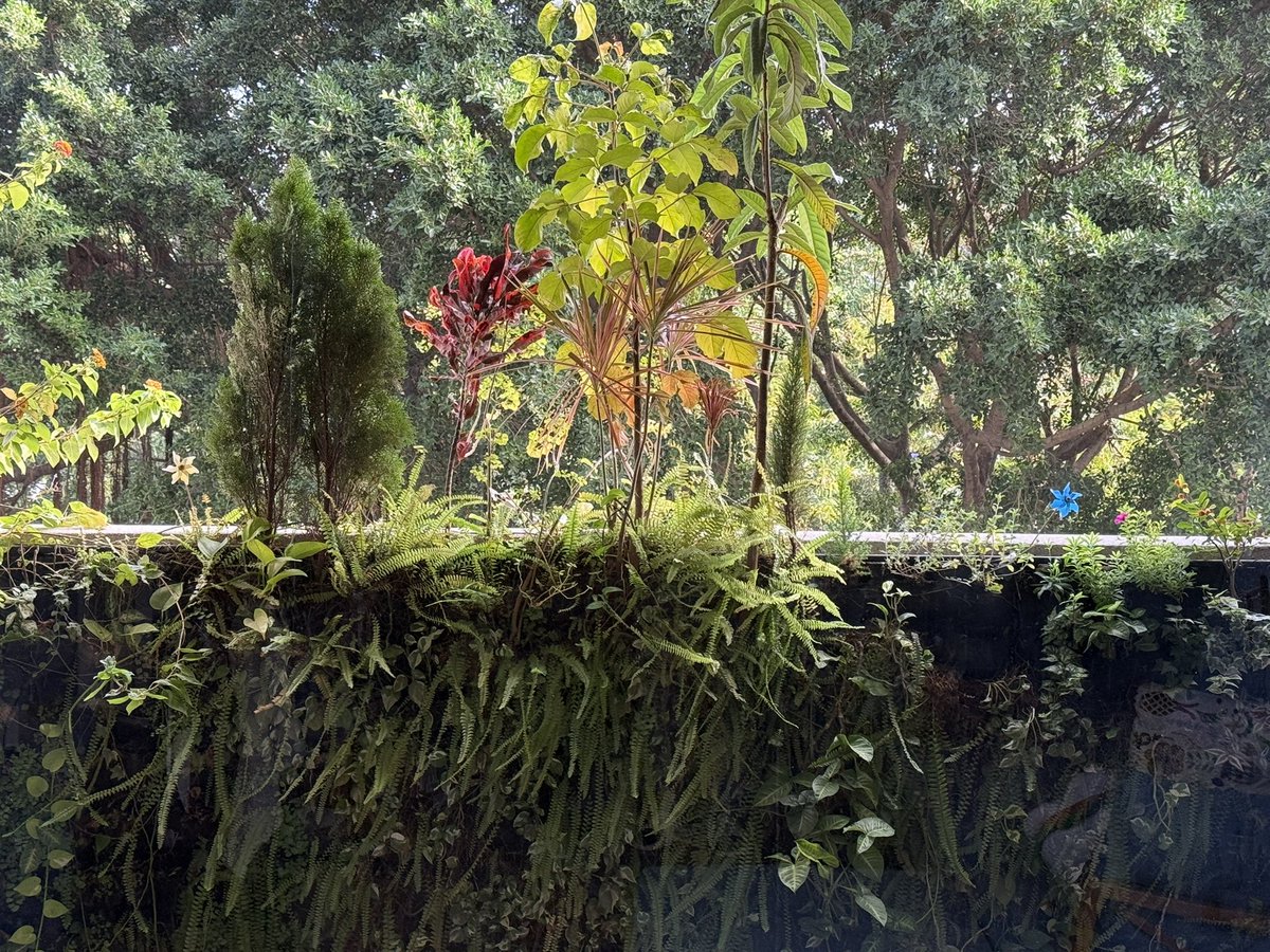 PowerOp's tweet image. 今天的客廳跟植生牆