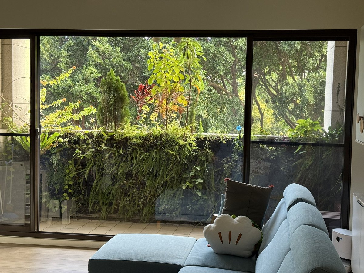 PowerOp's tweet image. 今天的客廳跟植生牆