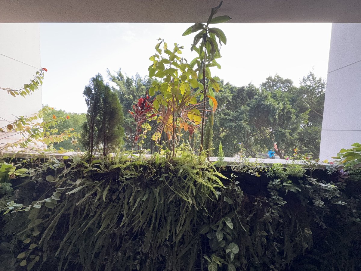 PowerOp's tweet image. 今天的客廳跟植生牆