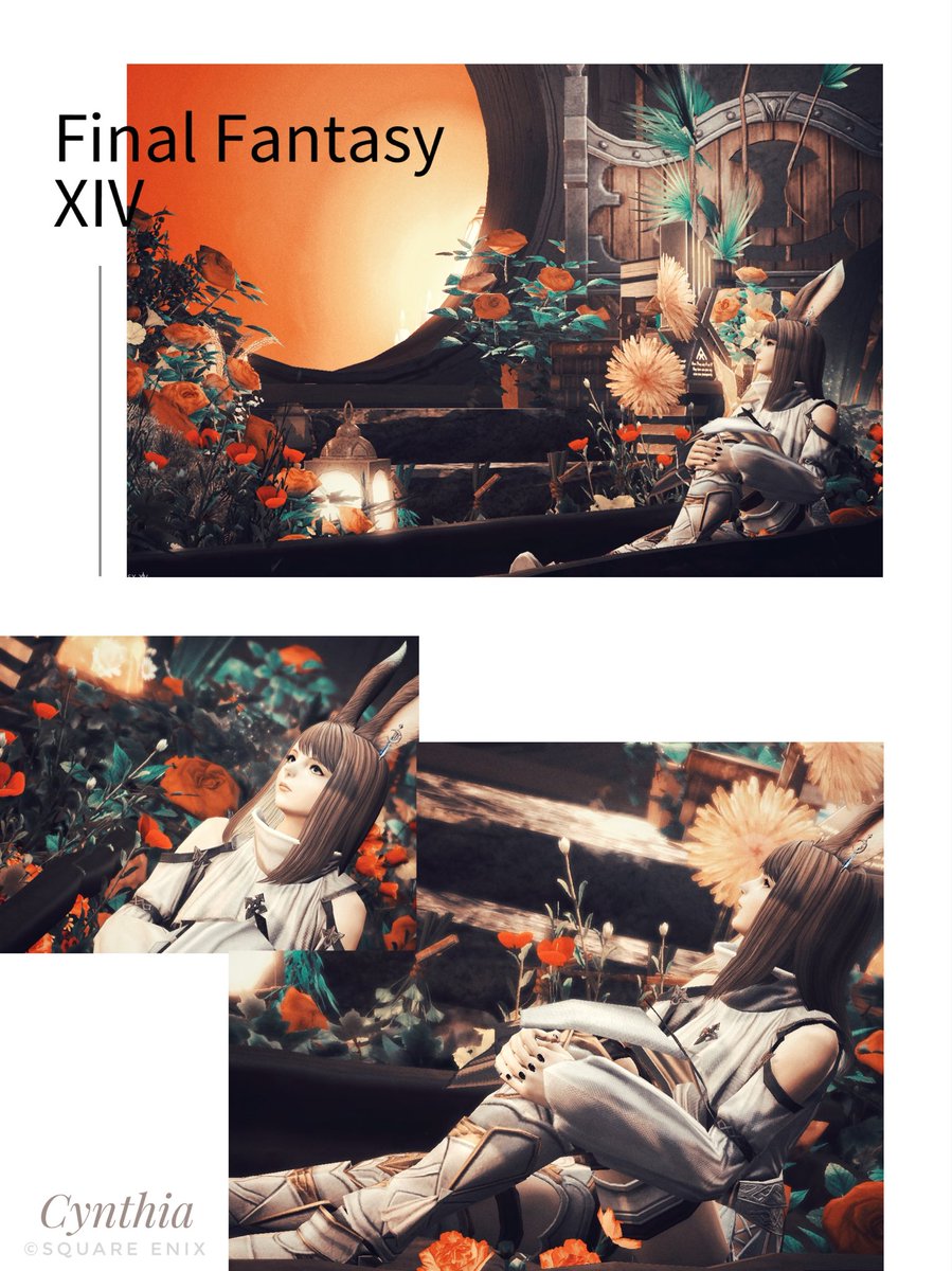 しんしあさんの個撮展会場こちらです🖼️♡

#FF14_pom 様
#7th_photo 
#FF14 #FF14SS #アウラ #羽角 #羽角普及委員会