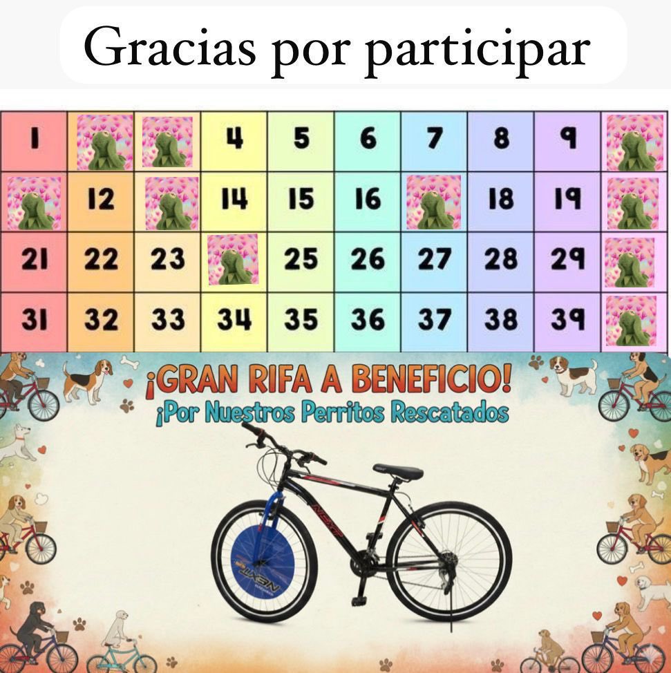 HELA_MORE's tweet image. ¡Aún nos quedan muchos números de la rifa! 🥹

Anímense a participar,y así nos ayudan con los gastos de nuestros rescatados.