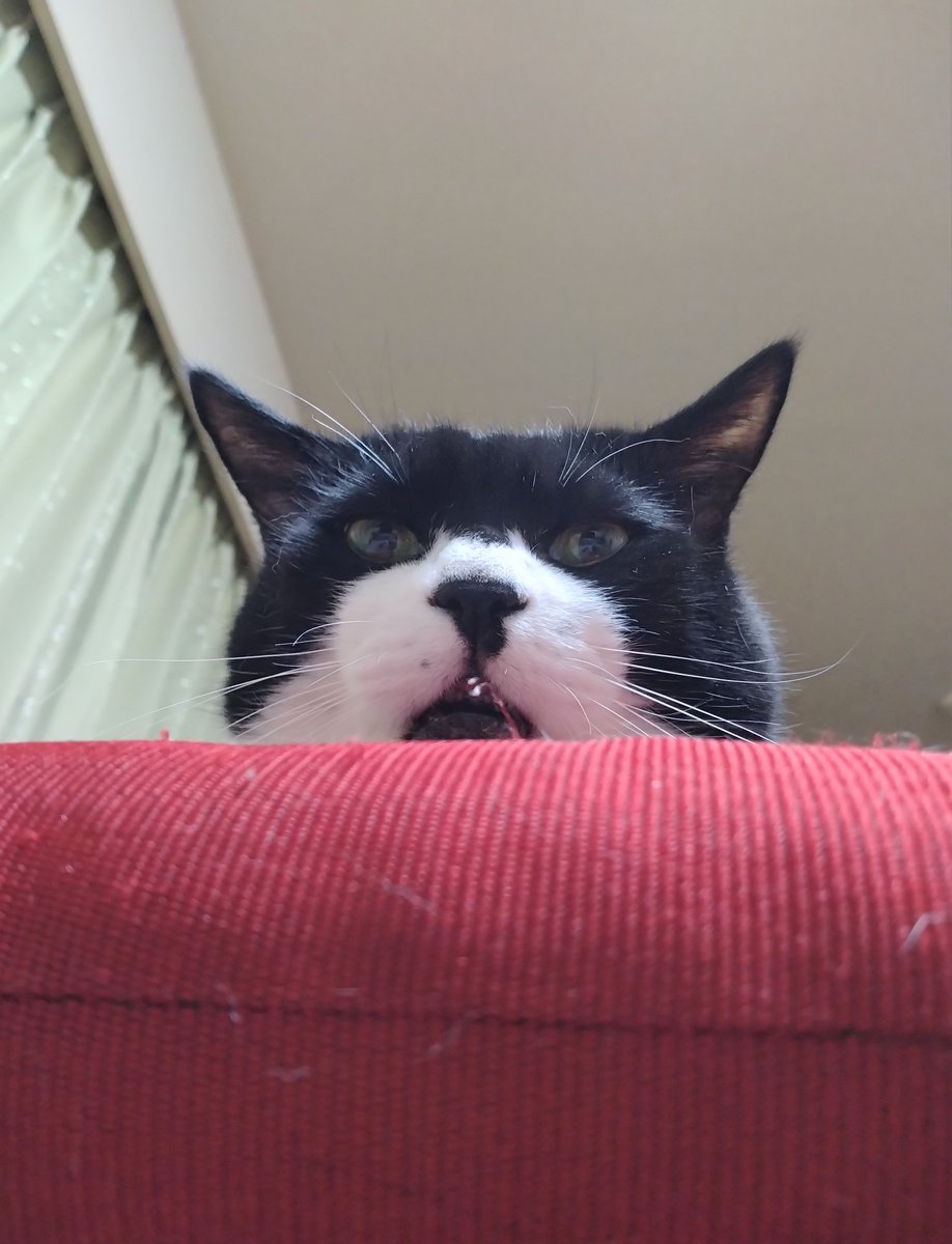 まりもちゃん！と🧌 (@marimo2021915) / Posts / X