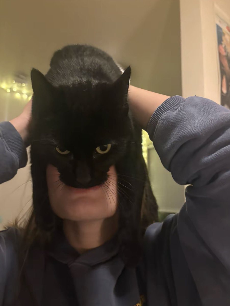 Black cats are not bad luck tweet media