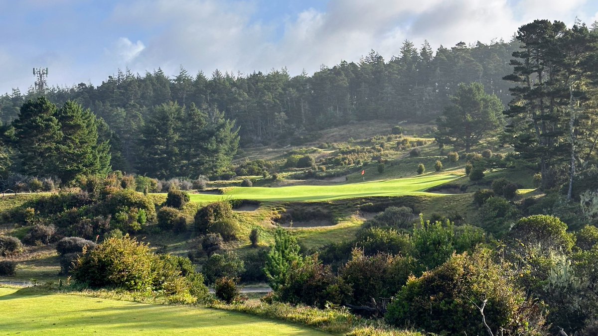 Steve M. tweet media