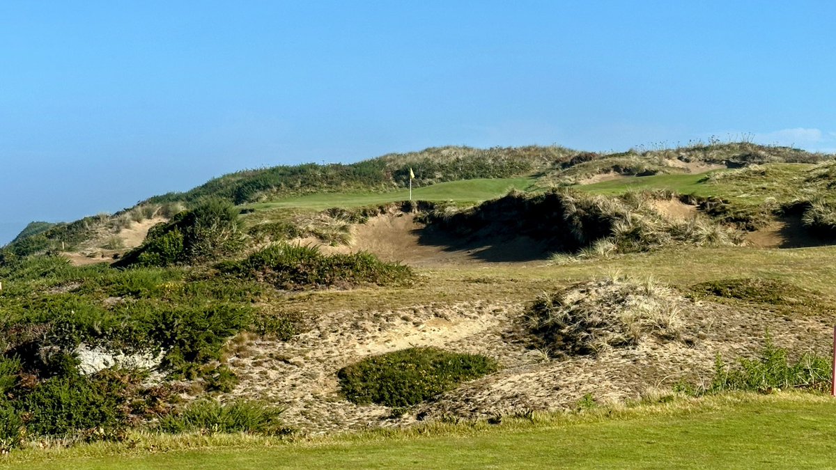 Steve M. tweet media