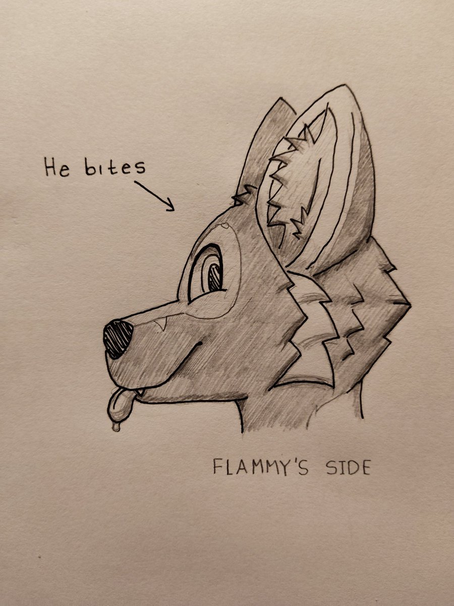 Flammy fox tweet media