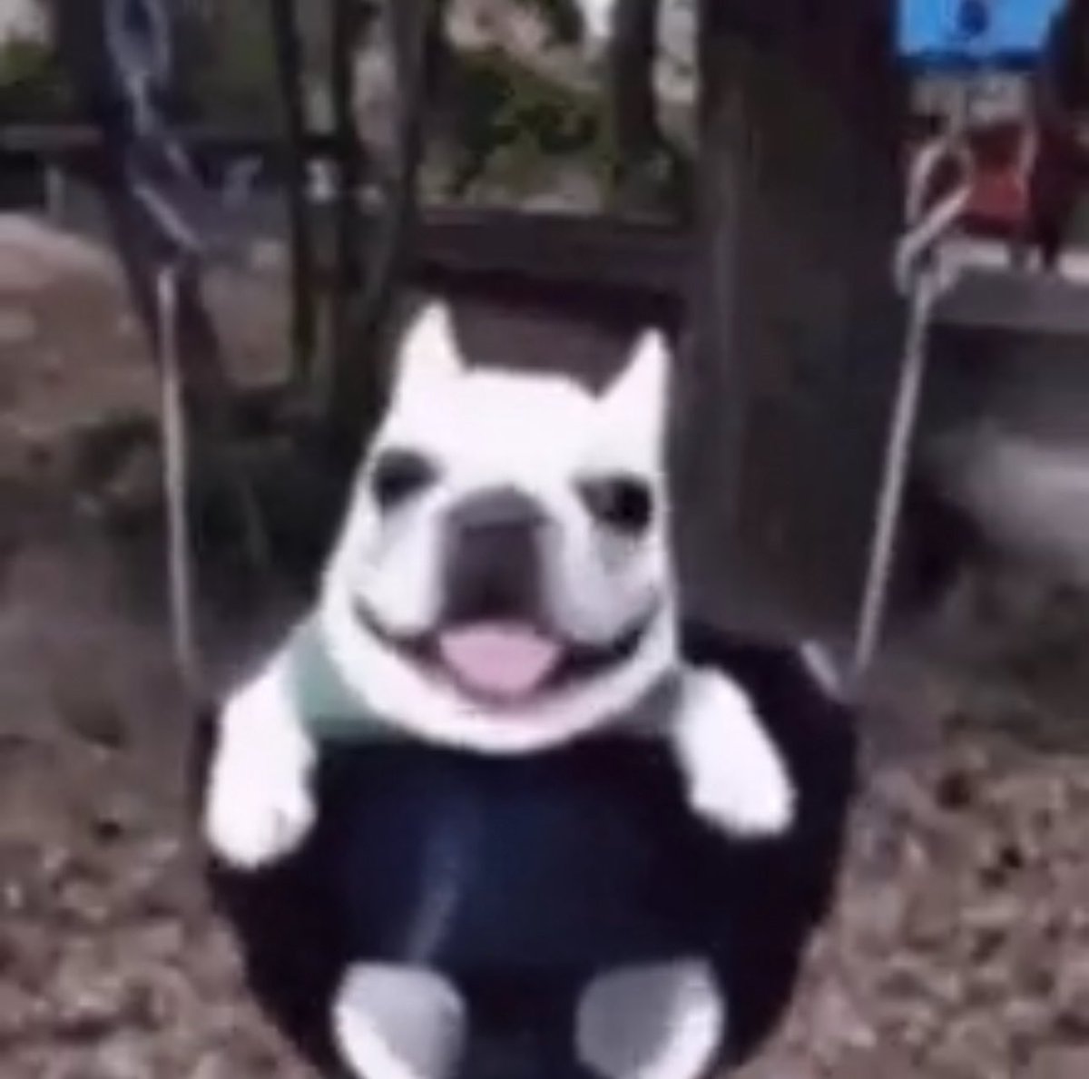 aborceans's tweet image. 