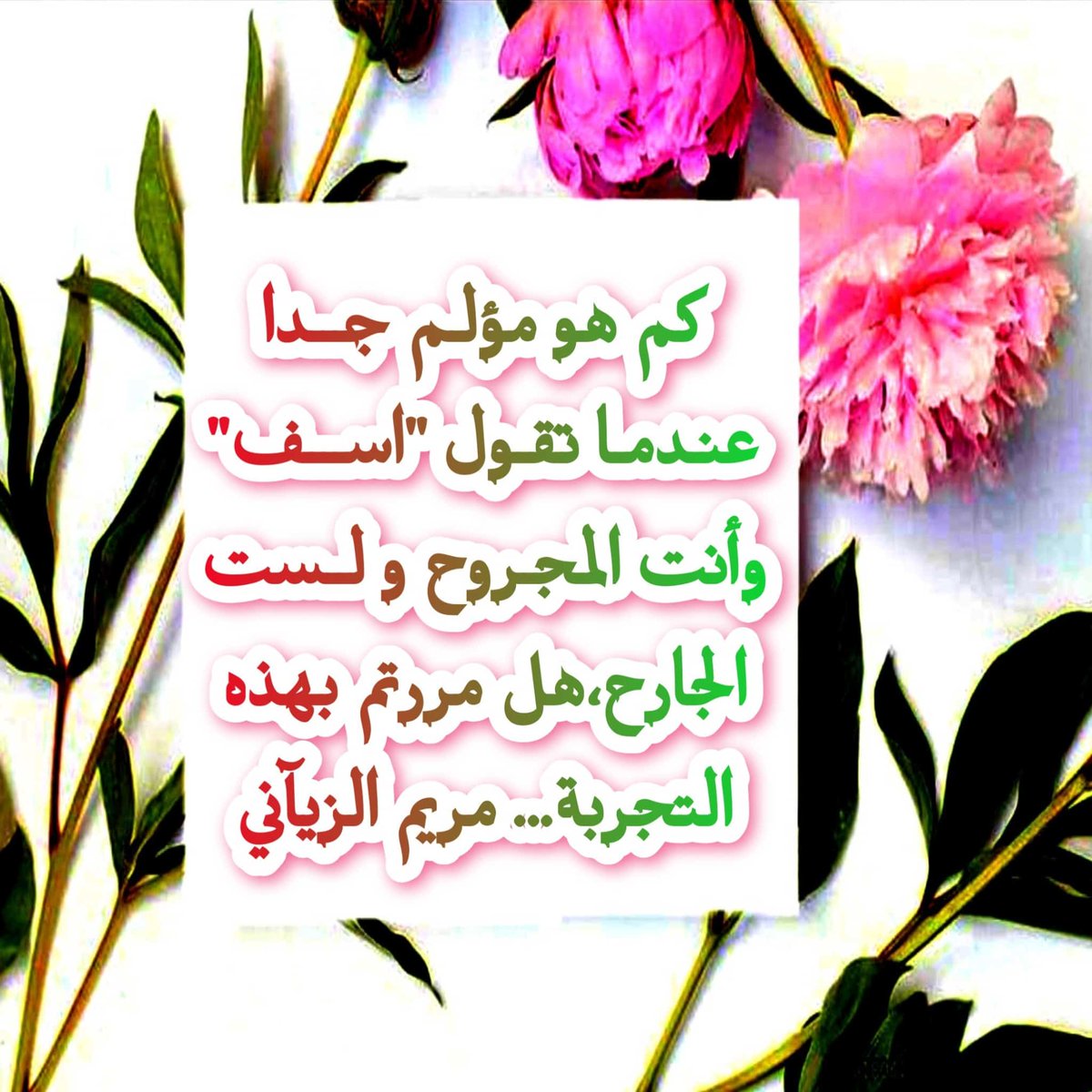 malzayani47's tweet photo. https://t.co/ASB9FqJEbX