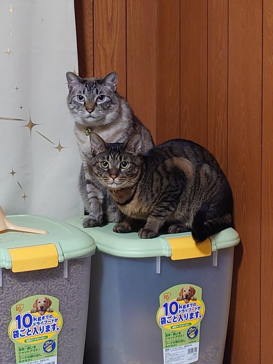 おはよう(´°v°)/んぴｯ 寒い((((；ﾟДﾟ))))