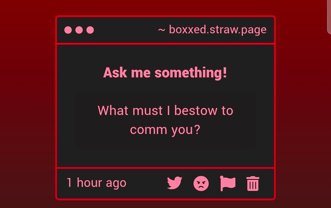 BoxXed 🔞 tweet media