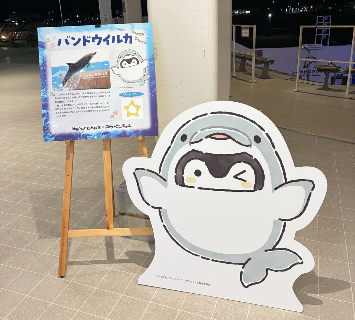 🐠仙台うみの杜水族館×コウペンちゃん🐠 仙台うみの杜水族館との
