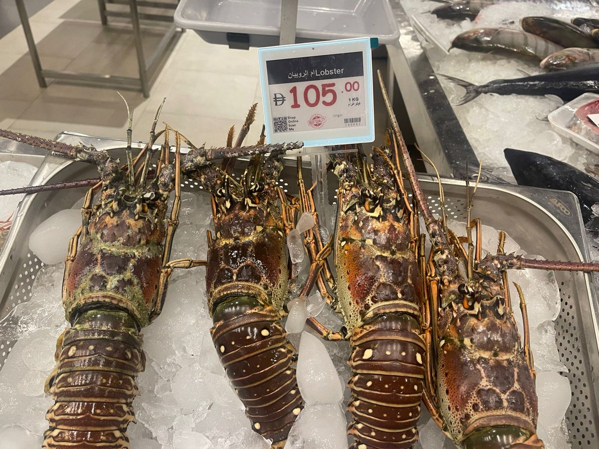SUNYTechnology's tweet image. Fresh Tech for Fresh Catch in Abu Dhabi! 🐟
Our 2.4GHz electronic shelf labels are live at a premium seafood market, updating prices instantly across 50+ daily catch varieties—no manual tags, just real-time precision.
#SmartRetail #AbuDhabi #SeafoodMarket #IoT  #FreshTech #UAE