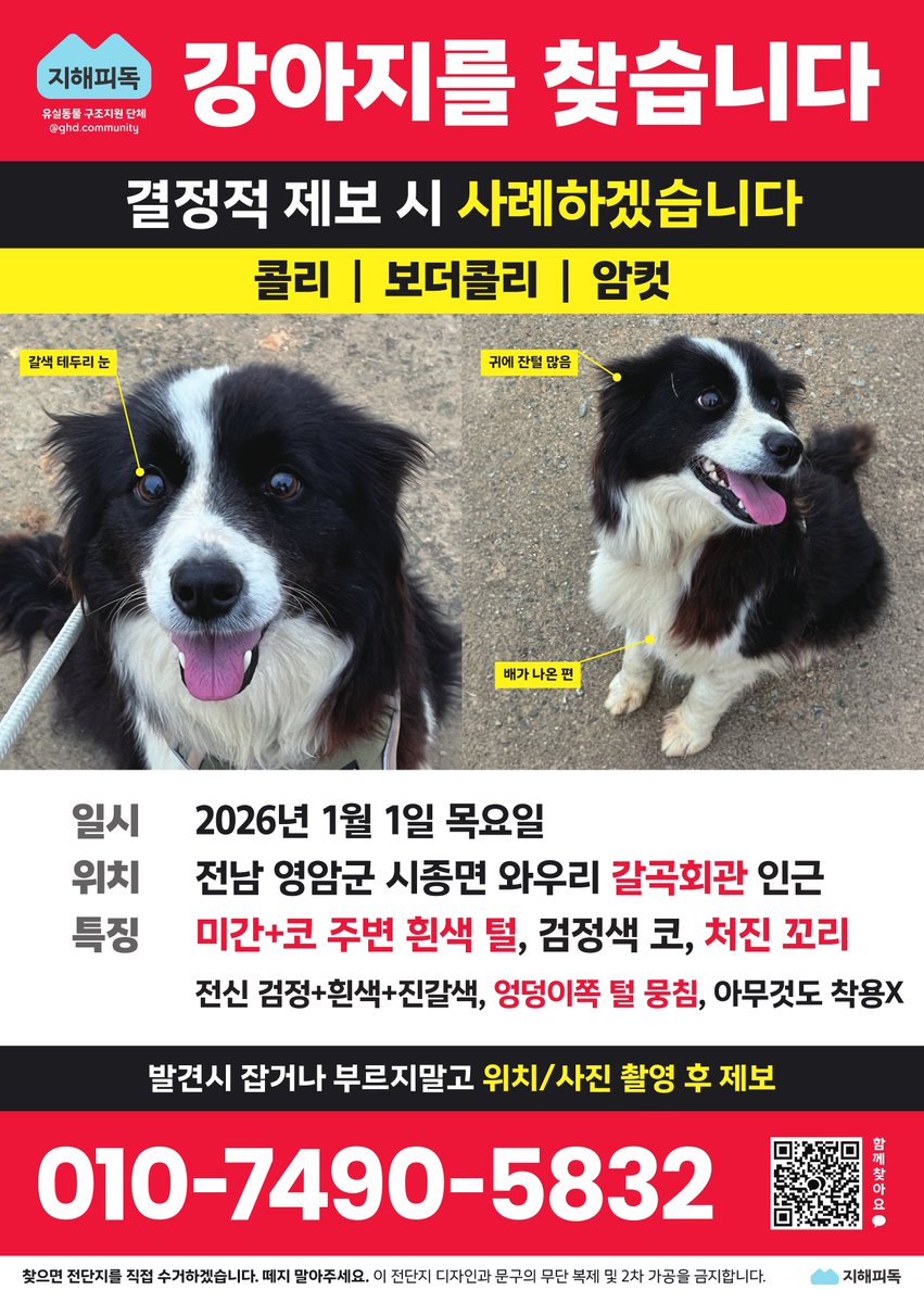 지해피독 봉사자 tweet media