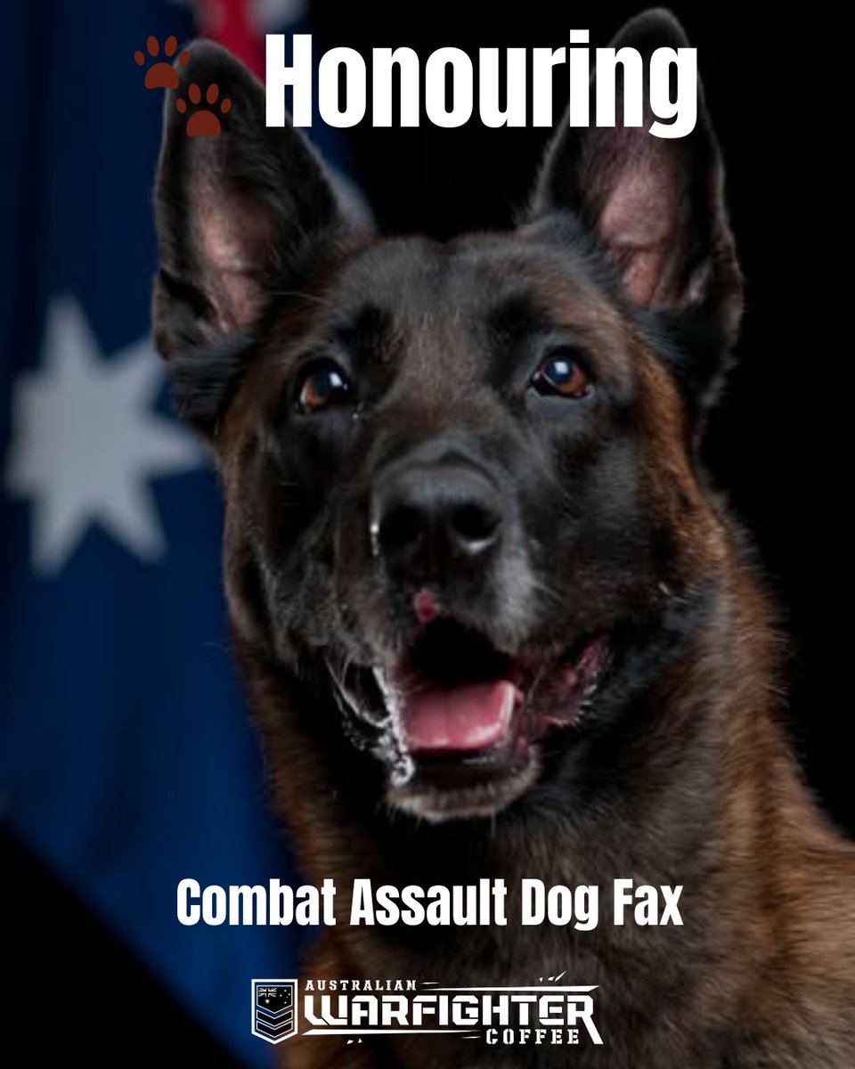 🐾 On 6 Jan 2013, SASR Combat Assault Dog Fax got his bite on—taking down an armed insurgent so his team could move in. He was mortally wounded, earning the Australian Animal Distinguished Service Medal. Our MWD Blend honours warriors like him. Lest we forget. 🕯️🇦🇺
