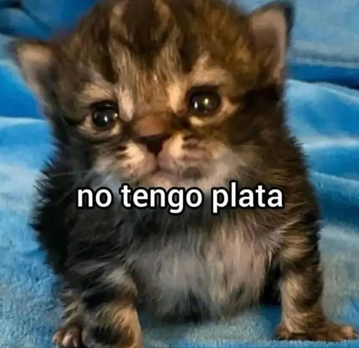 DrAbbuud's tweet photo. PRIMER LUNES DE BITS DEL AÑO💸
RT Y SALUDITOOO0O
VENTEE TTV/DRABBUD https://t.co/E6eHxJjlPE