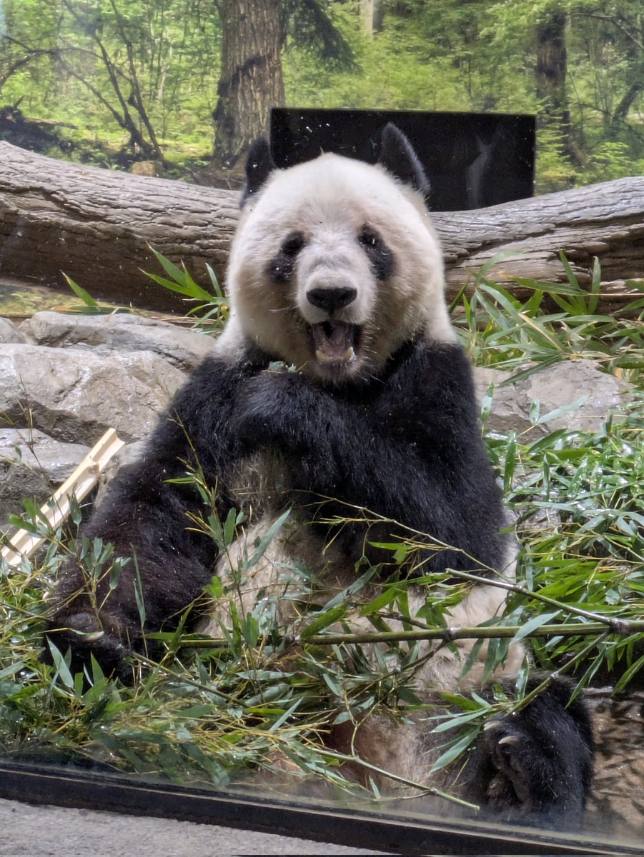 ふみくん (@fumitaka_s) / Posts / X